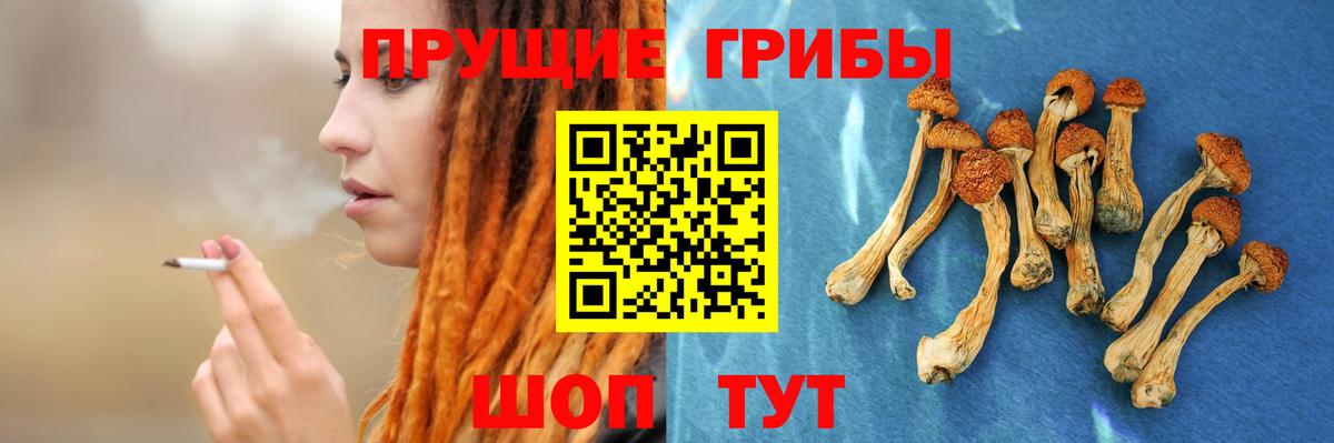 Галлюциногенные грибы GOLDEN TEACHER Нижневартовск